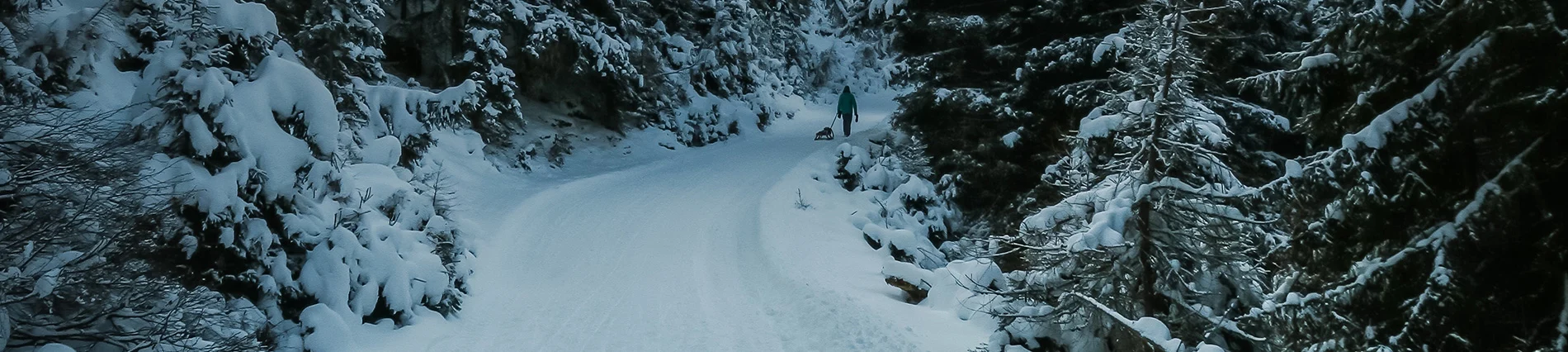 Promozioni skipass Lizzola